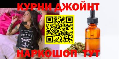 дживик Можга