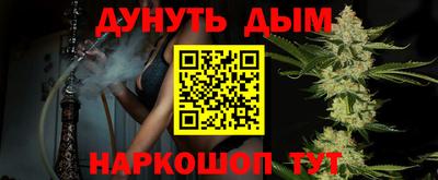 дживик Можга