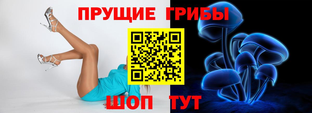 Галлюциногенные грибы MAGIC MUSHROOMS  Вход с VPN  Алапаевск 